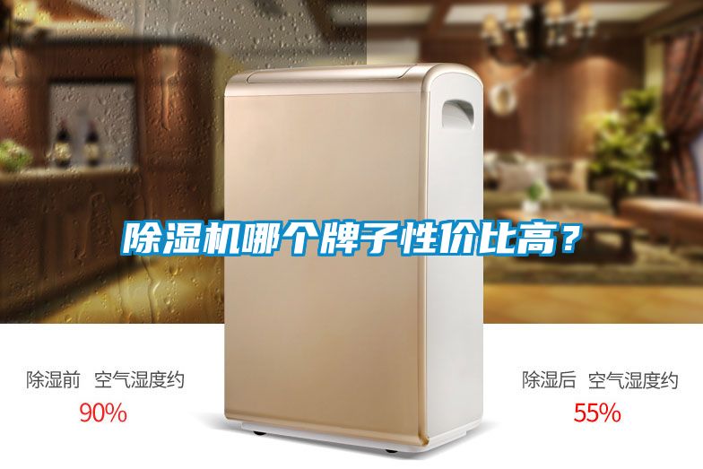 除濕機哪個牌子性價比高？