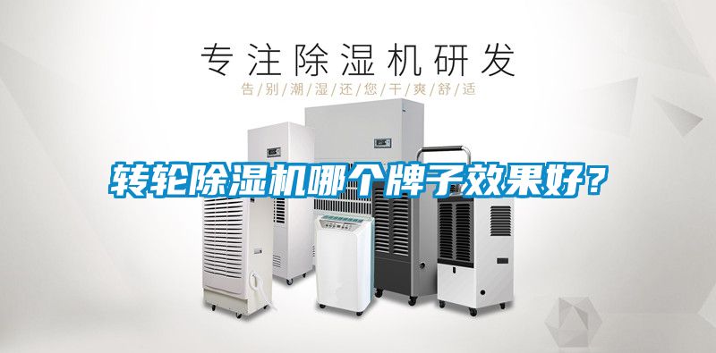 轉(zhuǎn)輪除濕機(jī)哪個(gè)牌子效果好？