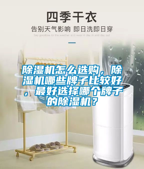 除濕機(jī)怎么選購，除濕機(jī)哪些牌子比較好，最好選擇哪個牌子的除濕機(jī)？