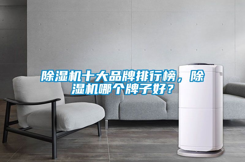 除濕機(jī)十大品牌排行榜，除濕機(jī)哪個(gè)牌子好？