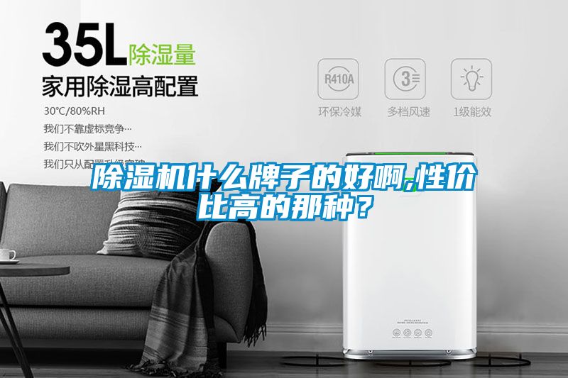 除濕機(jī)什么牌子的好啊,性價(jià)比高的那種？