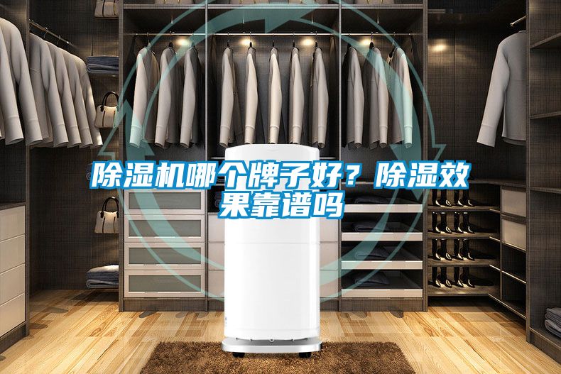 除濕機哪個牌子好？除濕效果靠譜嗎