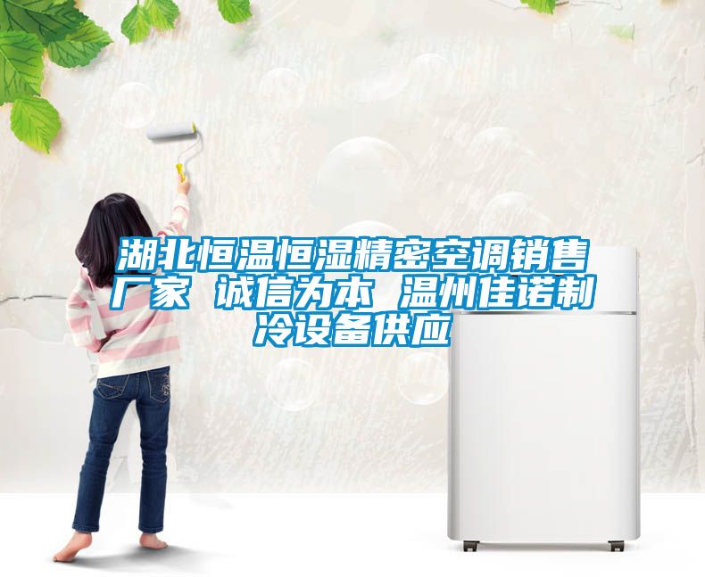 湖北恒溫恒濕精密空調(diào)銷(xiāo)售廠(chǎng)家 誠(chéng)信為本 溫州佳諾制冷設(shè)備供應(yīng)