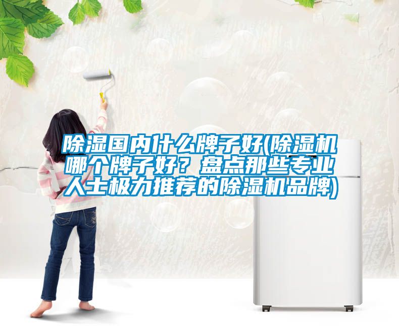 除濕國(guó)內(nèi)什么牌子好(除濕機(jī)哪個(gè)牌子好？盤點(diǎn)那些專業(yè)人士極力推薦的除濕機(jī)品牌)