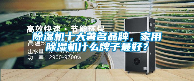 除濕機(jī)十大著名品牌，家用除濕機(jī)什么牌子最好？