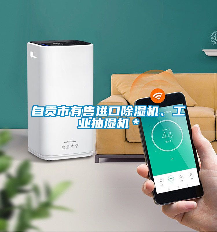 自貢市有售進(jìn)口除濕機(jī)、工業(yè)抽濕機(jī)＊