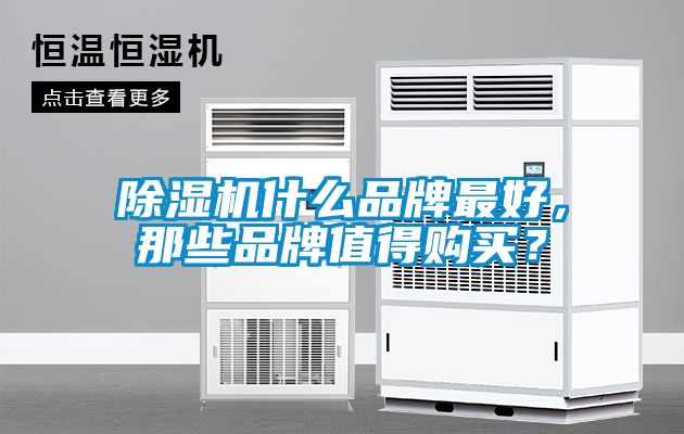 除濕機什么品牌最好，那些品牌值得購買？