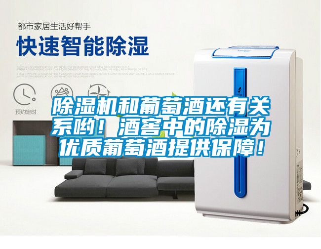 除濕機(jī)和葡萄酒還有關(guān)系喲！酒窖中的除濕為優(yōu)質(zhì)葡萄酒提供保障！