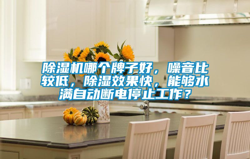 除濕機(jī)哪個牌子好，噪音比較低，除濕效果快，能夠水滿自動斷電停止工作？