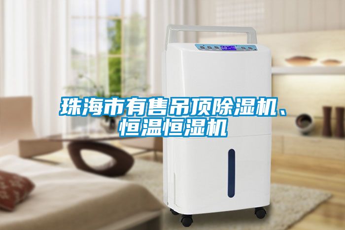 珠海市有售吊頂除濕機、恒溫恒濕機