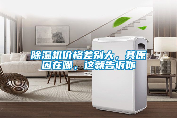 除濕機價格差別大，其原因在哪，這就告訴你