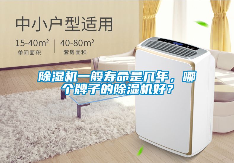 除濕機一般壽命是幾年，哪個牌子的除濕機好？
