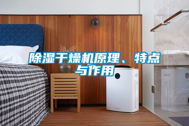 除濕干燥機(jī)原理、特點(diǎn)與作用
