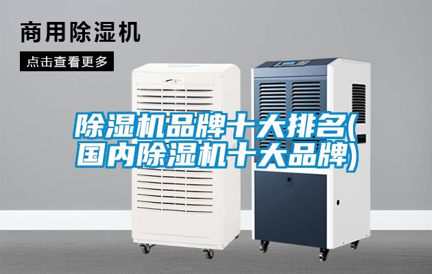 除濕機(jī)品牌十大排名(國(guó)內(nèi)除濕機(jī)十大品牌)