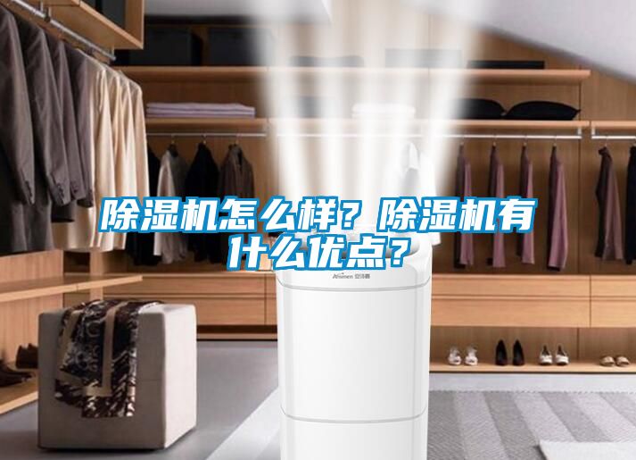 除濕機怎么樣？除濕機有什么優(yōu)點？