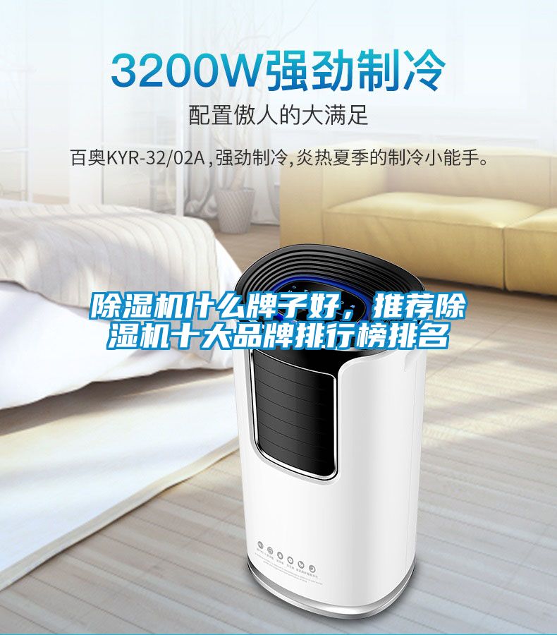 除濕機(jī)什么牌子好，推薦除濕機(jī)十大品牌排行榜排名