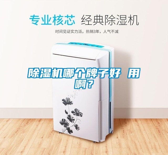 除濕機(jī)哪個(gè)牌子好 用啊？