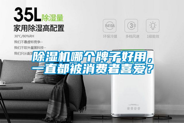 除濕機(jī)哪個(gè)牌子好用，一直都被消費(fèi)者喜愛？