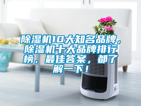 除濕機10大知名品牌，除濕機十大品牌排行榜，最佳答案，都了解一下！
