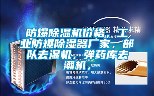 防爆除濕機(jī)價(jià)格，工業(yè)防爆除濕器廠家，部隊(duì)去濕機(jī)，彈藥庫(kù)去潮機(jī)，