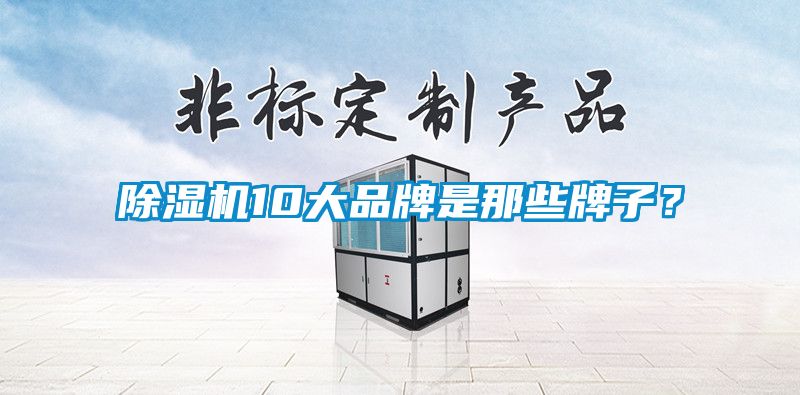 除濕機10大品牌是那些牌子？