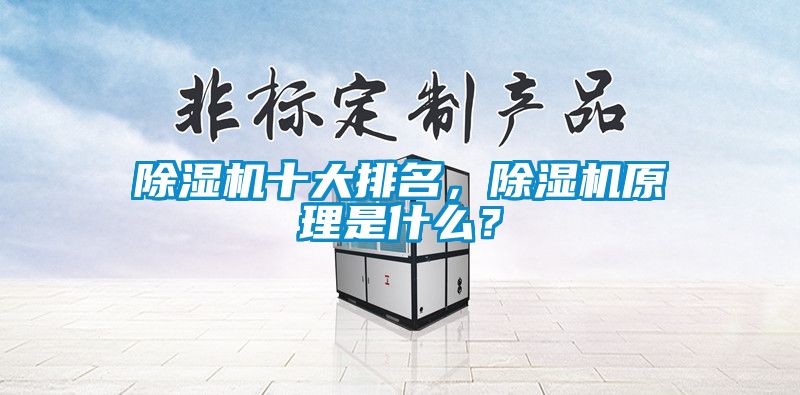 除濕機(jī)十大排名，除濕機(jī)原理是什么？