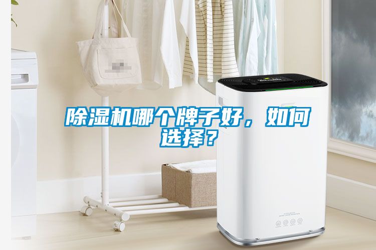 除濕機(jī)哪個牌子好，如何選擇？