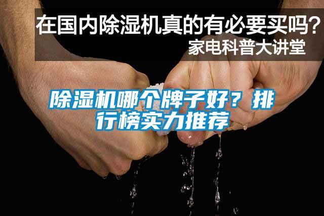 除濕機(jī)哪個牌子好？排行榜實力推薦