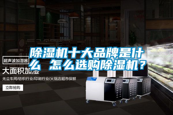 除濕機(jī)十大品牌是什么 怎么選購(gòu)除濕機(jī)？