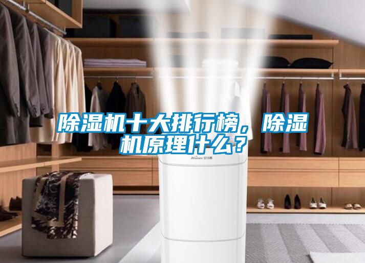 除濕機十大排行榜，除濕機原理什么？