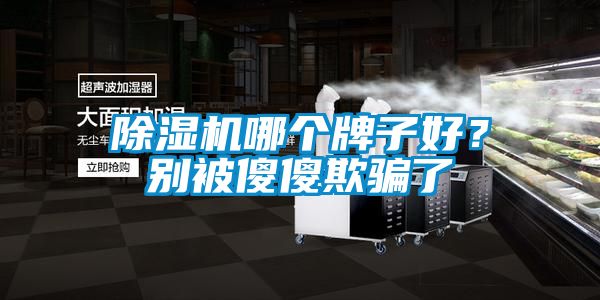 除濕機哪個牌子好？別被傻傻欺騙了