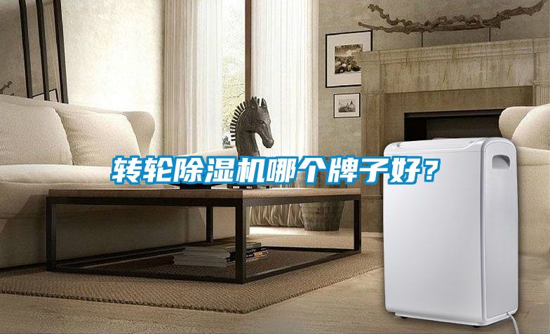 轉(zhuǎn)輪除濕機(jī)哪個(gè)牌子好？