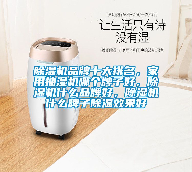 除濕機(jī)品牌十大排名，家用抽濕機(jī)哪個(gè)牌子好，除濕機(jī)什么品牌好，除濕機(jī)什么牌子除濕效果好