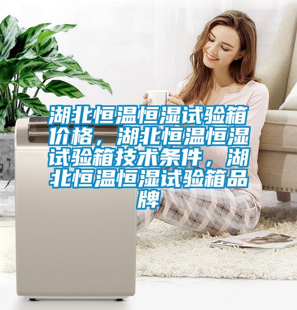 湖北恒溫恒濕試驗(yàn)箱價(jià)格，湖北恒溫恒濕試驗(yàn)箱技術(shù)條件，湖北恒溫恒濕試驗(yàn)箱品牌