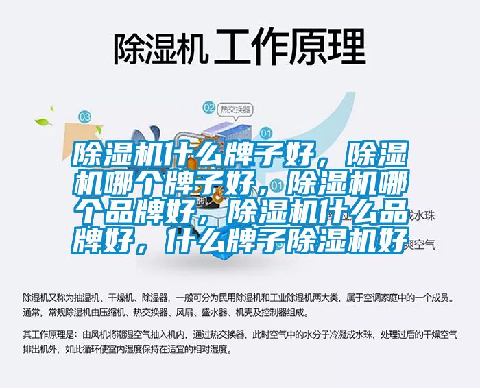 除濕機(jī)什么牌子好，除濕機(jī)哪個(gè)牌子好，除濕機(jī)哪個(gè)品牌好，除濕機(jī)什么品牌好，什么牌子除濕機(jī)好