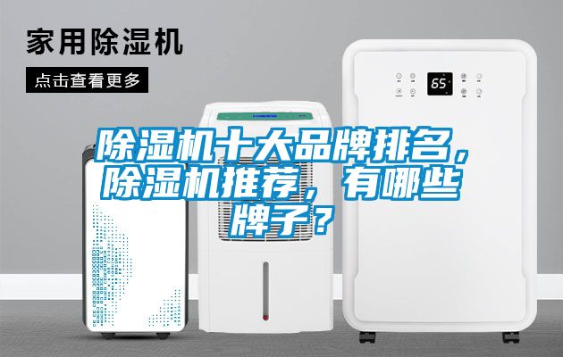 除濕機十大品牌排名，除濕機推薦，有哪些牌子？