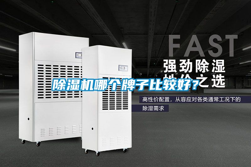 除濕機(jī)哪個(gè)牌子比較好？