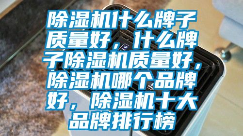 除濕機(jī)什么牌子質(zhì)量好，什么牌子除濕機(jī)質(zhì)量好，除濕機(jī)哪個(gè)品牌好，除濕機(jī)十大品牌排行榜