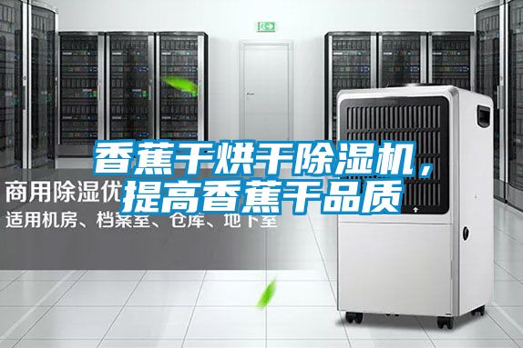 香蕉干烘干除濕機(jī)，提高香蕉干品質(zhì)