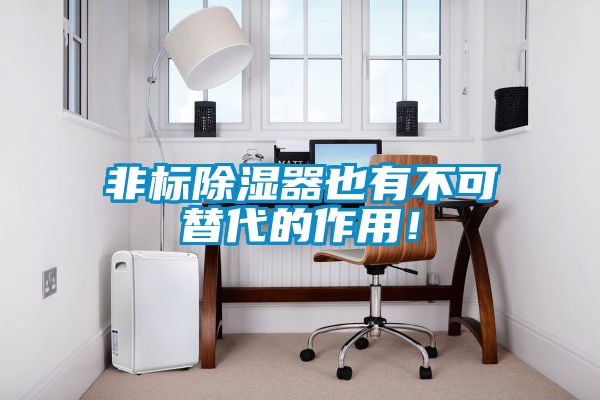 非標除濕器也有不可替代的作用！
