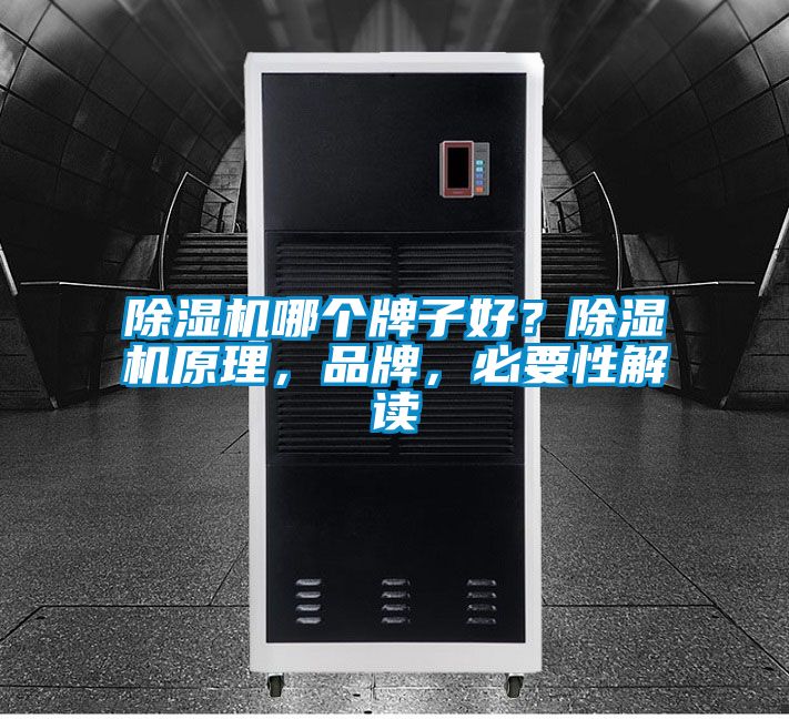 除濕機(jī)哪個牌子好？除濕機(jī)原理，品牌，必要性解讀