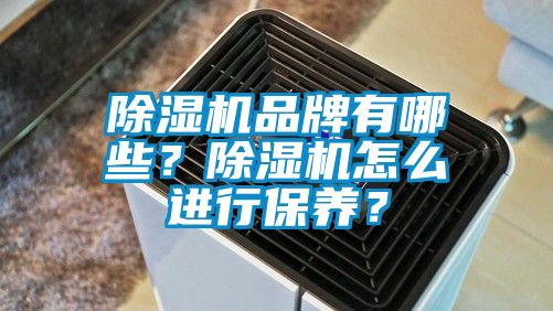 除濕機(jī)品牌有哪些？除濕機(jī)怎么進(jìn)行保養(yǎng)？
