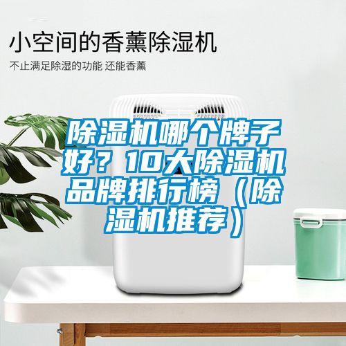 除濕機哪個牌子好？10大除濕機品牌排行榜（除濕機推薦）