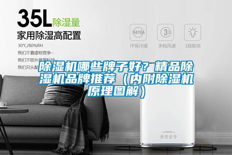 除濕機哪些牌子好？精品除濕機品牌推薦（內(nèi)附除濕機原理圖解）