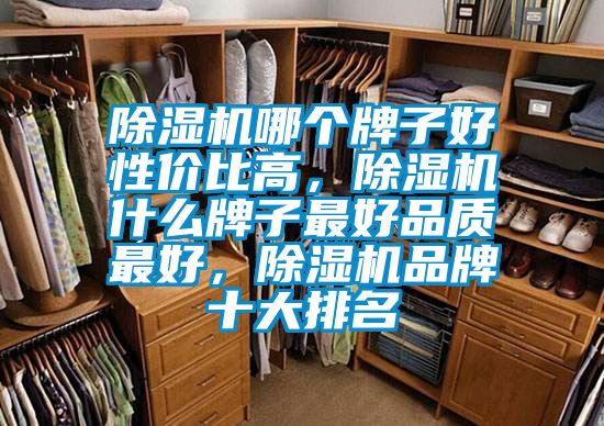 除濕機(jī)哪個(gè)牌子好性價(jià)比高，除濕機(jī)什么牌子最好品質(zhì)最好，除濕機(jī)品牌十大排名