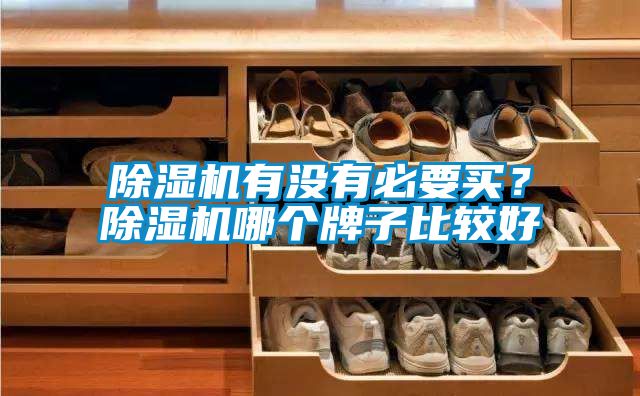 除濕機(jī)有沒有必要買？除濕機(jī)哪個(gè)牌子比較好