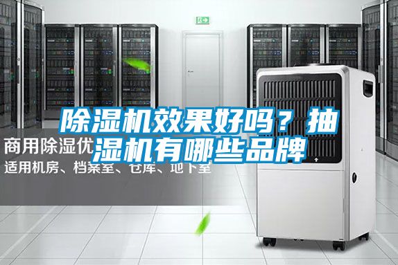 除濕機(jī)效果好嗎？抽濕機(jī)有哪些品牌