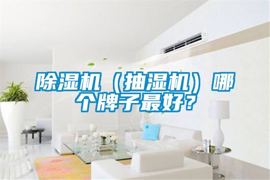 除濕機(jī)（抽濕機(jī)）哪個(gè)牌子最好？