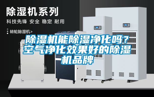 除濕機(jī)能除濕凈化嗎？空氣凈化效果好的除濕機(jī)品牌