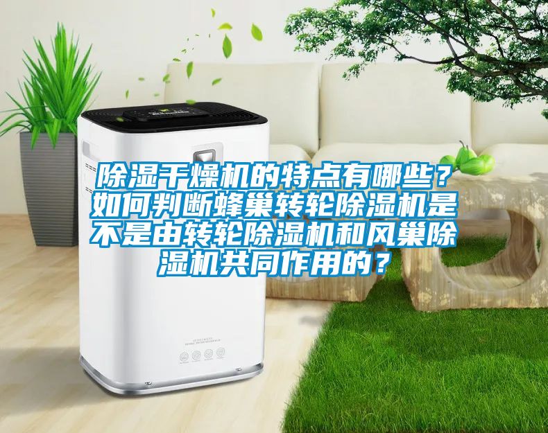 除濕干燥機(jī)的特點(diǎn)有哪些？如何判斷蜂巢轉(zhuǎn)輪除濕機(jī)是不是由轉(zhuǎn)輪除濕機(jī)和風(fēng)巢除濕機(jī)共同作用的？